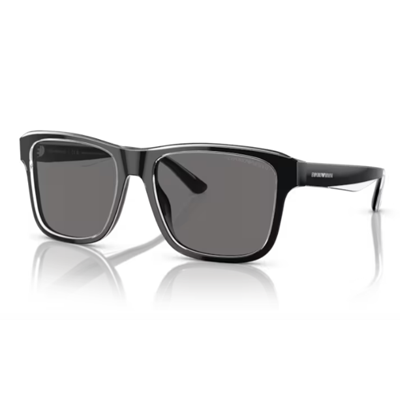 Emporio Armani EA4208 Sunglasses